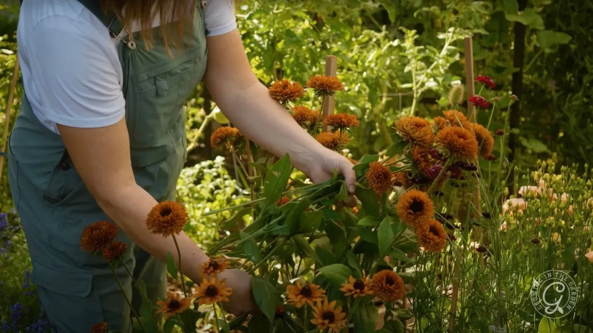 Person in green overalls tending to orange flowers in a lush, sunlit garden.