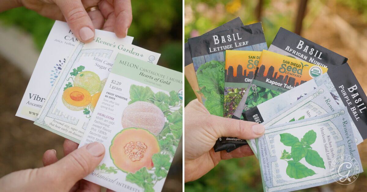 What to Plant and Harvest in July: Low Desert of Arizona