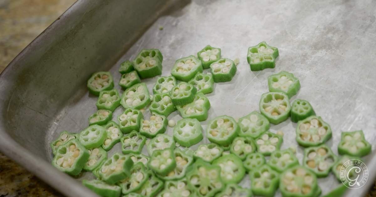 Flash freeze extra okra to use in recipes later