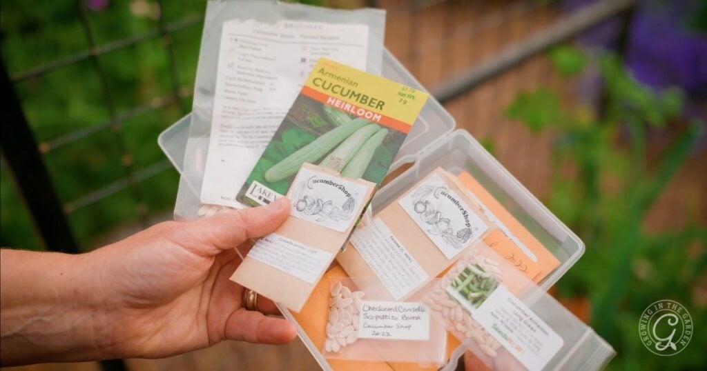 Hands holding various seed packets and containers in a garden setting, ready for planting and learning how to grow Armenian Cucumbers.