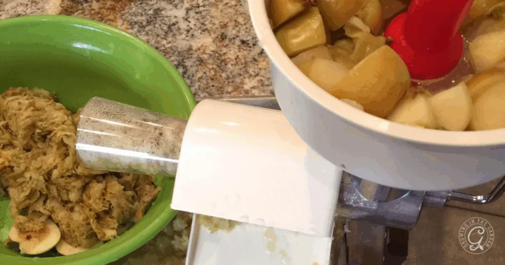 Apples being processed in a food mill, with peels and cores separated into a green bowl&mdash;perfect prep for the best recipes for Anna apples.
