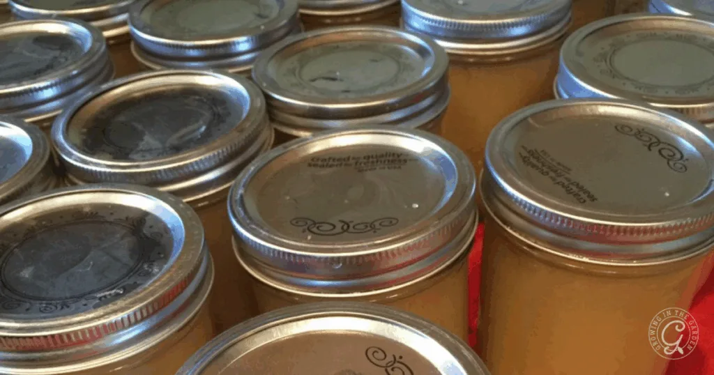 Rows of sealed glass jars filled with light brown homemade applesauce, made using the best recipes for Anna apples, viewed from above.
