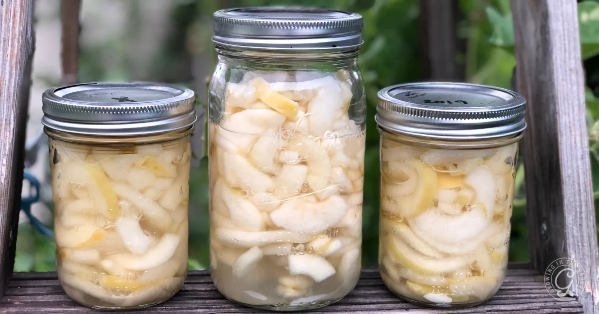 Three jars of pickled vegetables on a wooden surface, filled with sliced onions in brine&mdash;perfect for pairing with the best recipes for Anna apples.