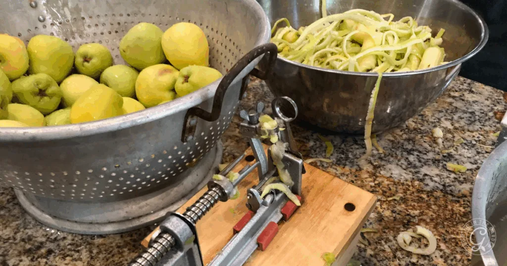 Green apples, peeled skins, and an apple peeler rest on a granite countertop&mdash;perfect inspiration as you search for the best recipes for Anna apples in your kitchen.
