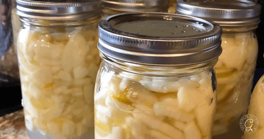 Close-up of glass jars filled with sliced onions in liquid, sealed with metal lids&mdash;perfect for pairing with the best recipes for Anna apples.