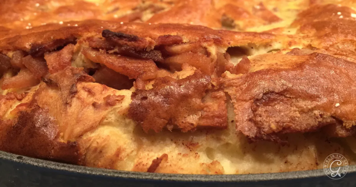 Close-up of a golden-brown apple cake with a crisp, textured top in a baking pan&mdash;one of the best recipes for Anna apples.