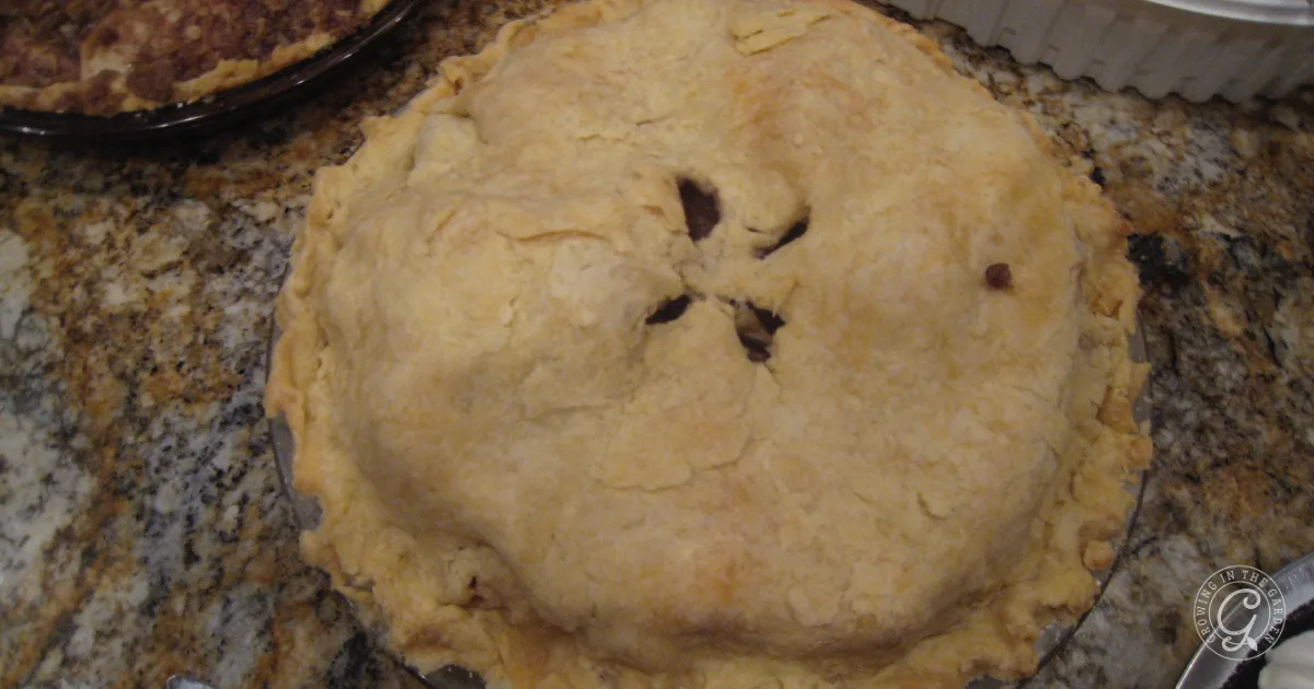 Golden-brown baked pie with a flaky crust and steam vents, resting on a granite countertop&mdash;one of the best recipes for Anna apples.