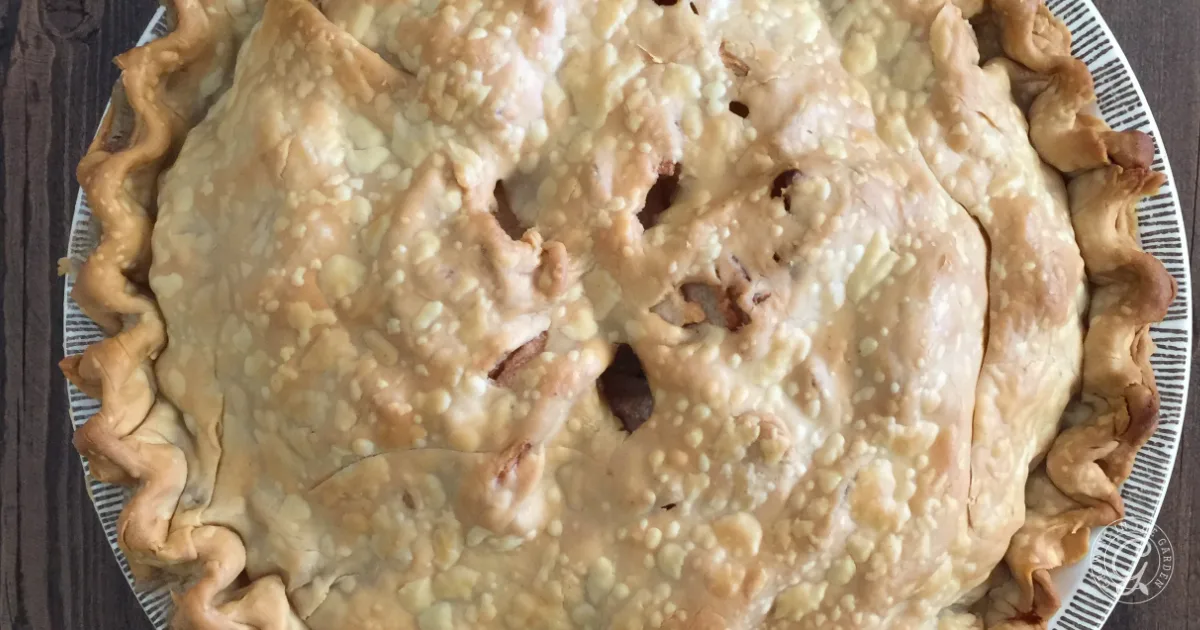 Golden brown baked pie with crimped edges and vent holes, viewed from above on a wooden surface&mdash;an inviting treat inspired by the best recipes for Anna apples.
