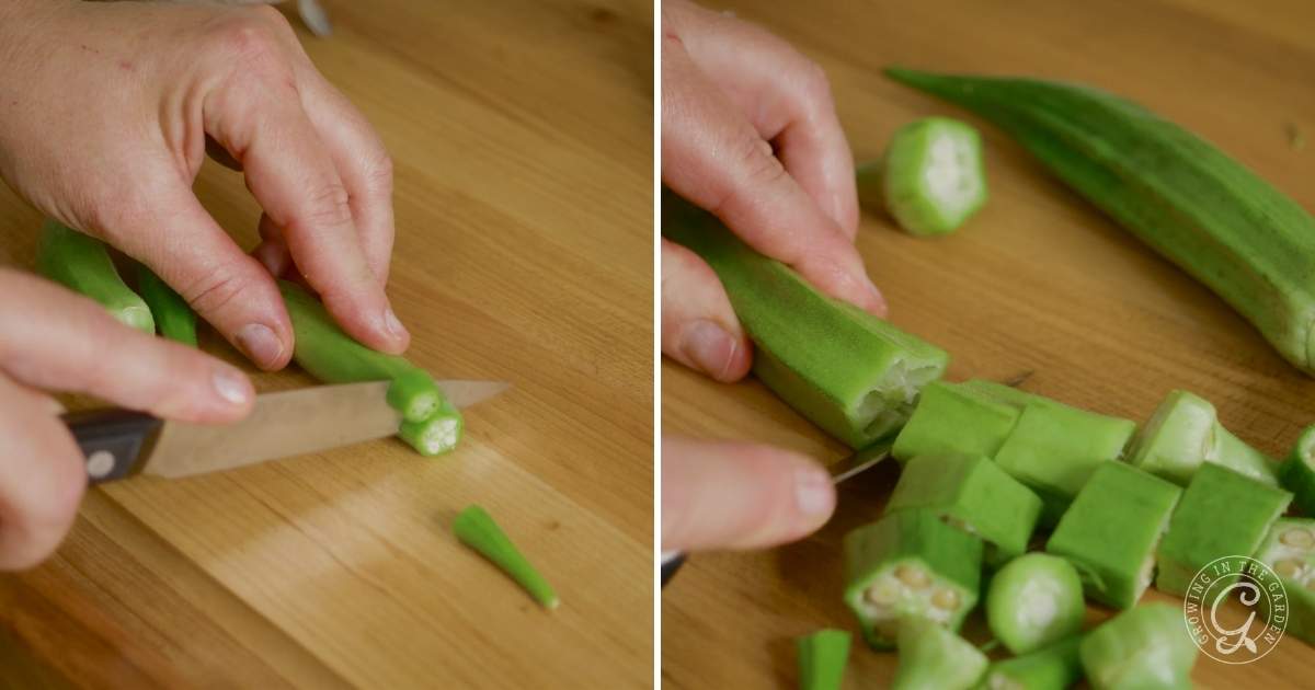 small and overgrown okra