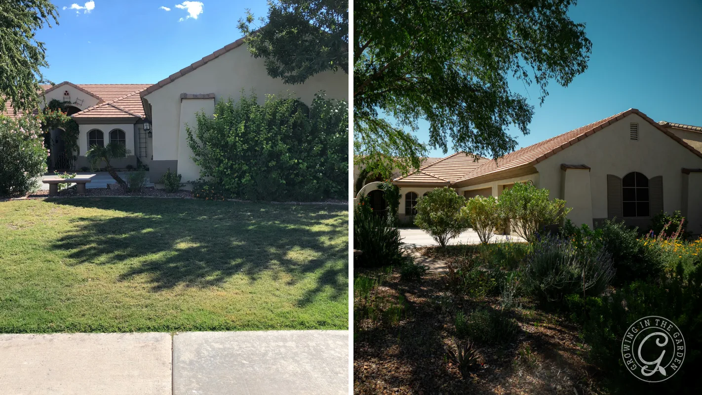 Two suburban houses with trees and shrubs in front yards, shown in bright daylight from different angles.