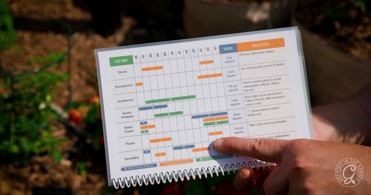 A person holds a planting guide outdoors, pointing to a chart with care schedules—including tips on how to grow thyme—displayed in rows and colored bars for each plants watering and sunlight needs.