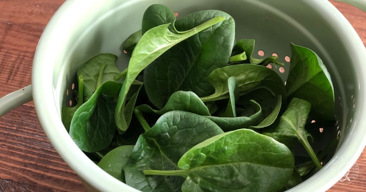 Fresh spinach leaves in a light green colander on a wooden surface.