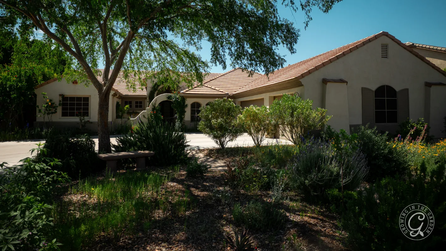 Single-story tan house with tile roof, surrounded by trees, shrubs, and a shaded garden path in front.
