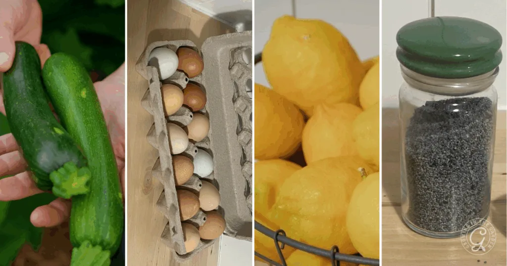 Four images: hands holding zucchinis, carton of eggs, bowl of lemons, and a glass jar of poppy seeds—perfect ingredients for baking Zucchini Lemon Poppy Seed Bread.