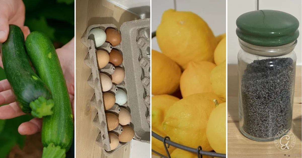 Four images: hands holding zucchinis, carton of eggs, bowl of lemons, and a glass jar of poppy seeds&mdash;perfect ingredients for baking Zucchini Lemon Poppy Seed Bread.