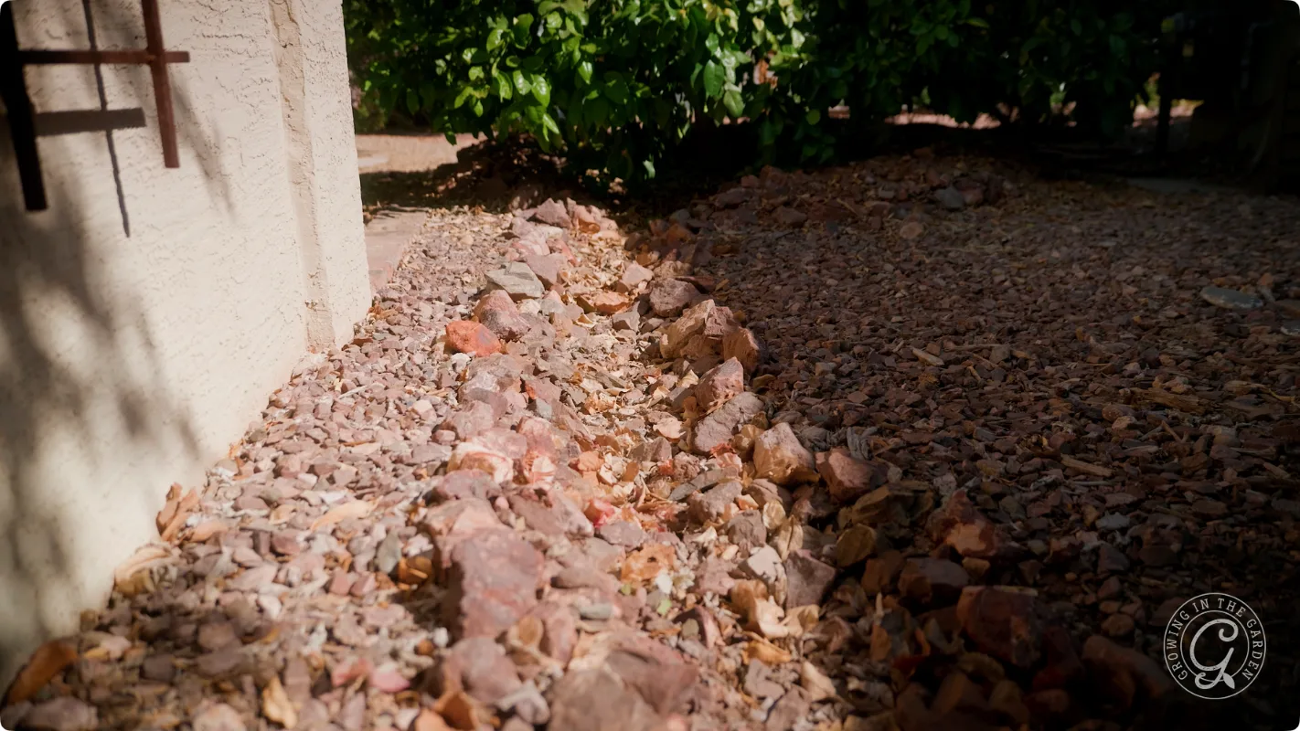 A rocky drainage path runs beside a beige wall, with green bushes and sunlight in the background.