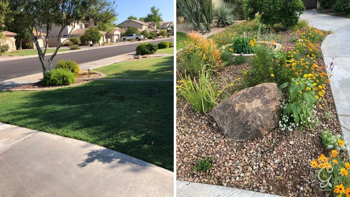 Split view: left, a grass lawn by a street; right, a xeriscaped yard with rocks and drought-tolerant plants.