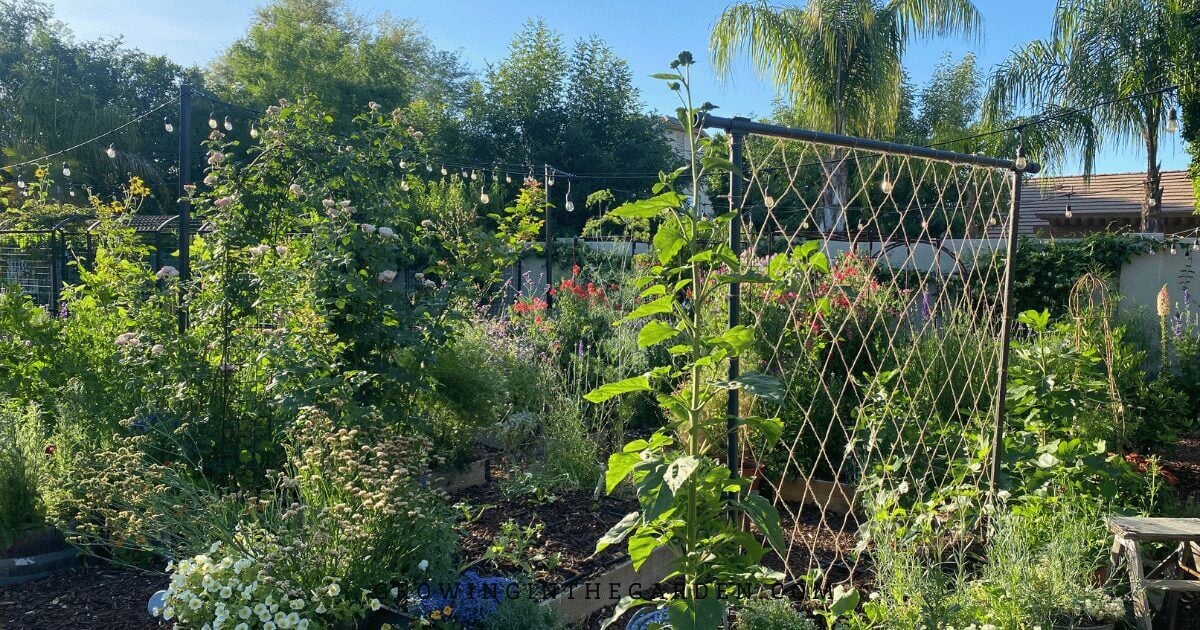 The Freyr Trellis is a timeless way to add structure and beauty to your garden &ndash; attach a string or jute netting to a pole and watch your plants grow.&nbsp;