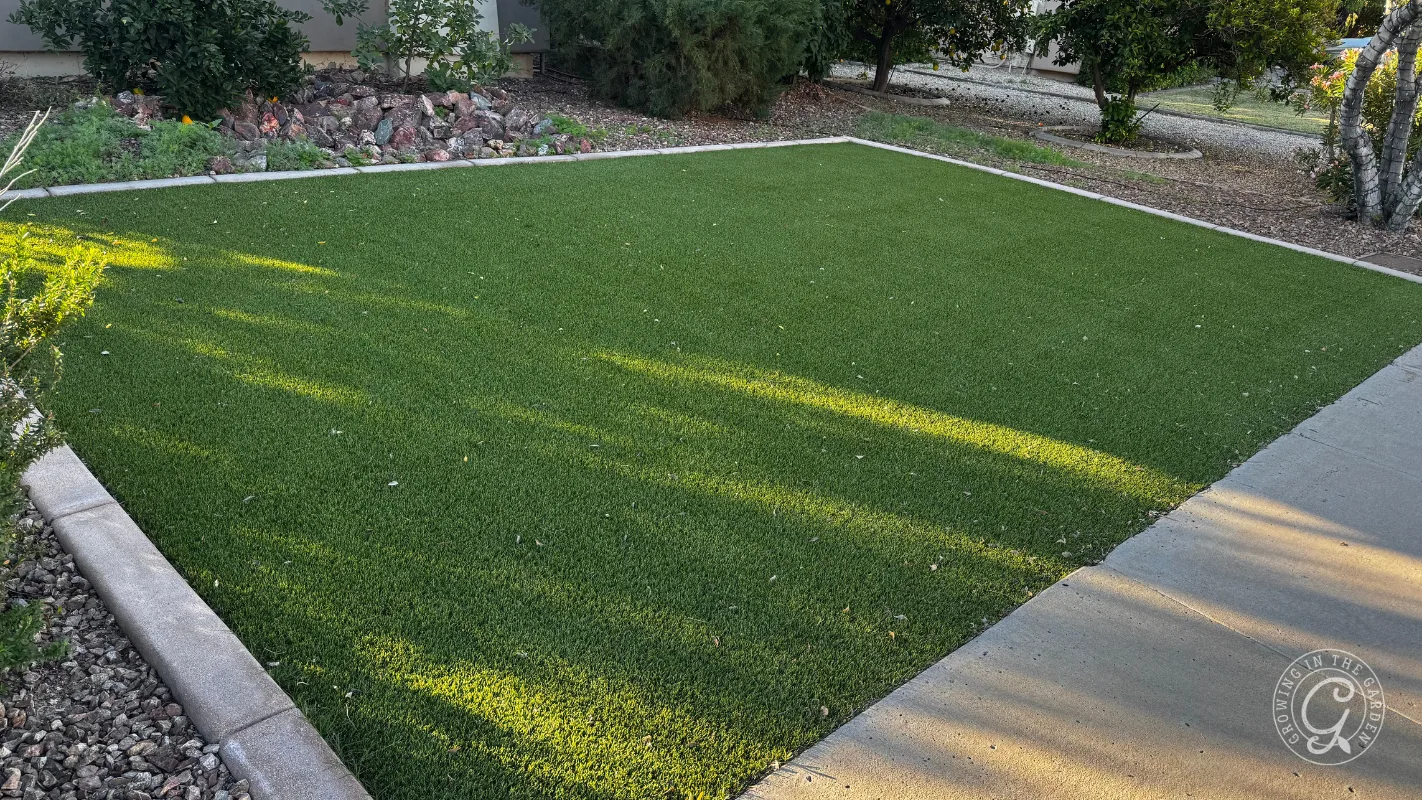Rectangular patch of green artificial turf bordered by concrete, with sunlight and shadows on the surface.