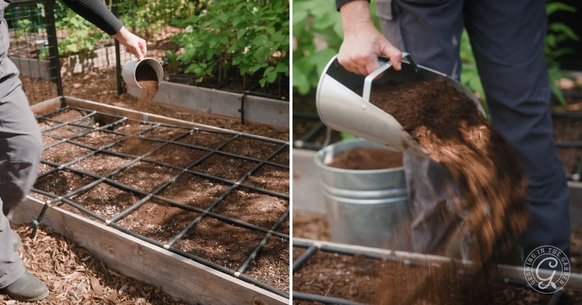 Add Compost and worm Castings to prepare your beds