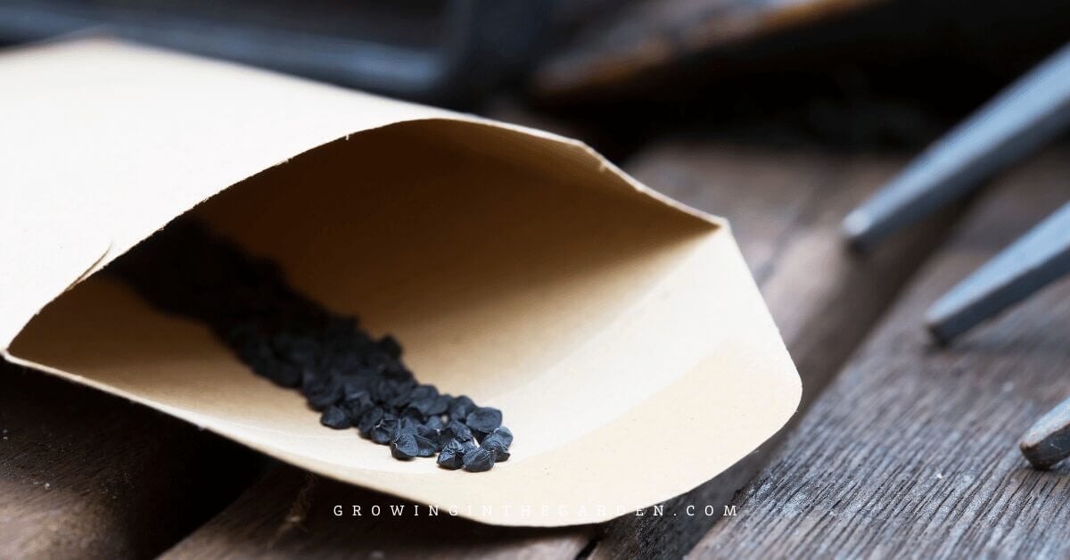 A brown paper packet labeled How to Grow Green Onions spills black seeds onto a wooden surface, with a garden tool slightly visible in the background.