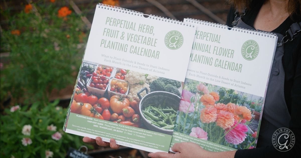 October Gardening Tasks for for Arizona&rsquo;s Low Desert