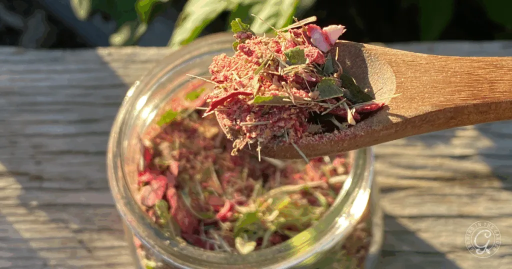 A wooden spoon holds a mix of dried herbs and flowers for Roselle Citrus Tea above a glass jar on a wooden surface.