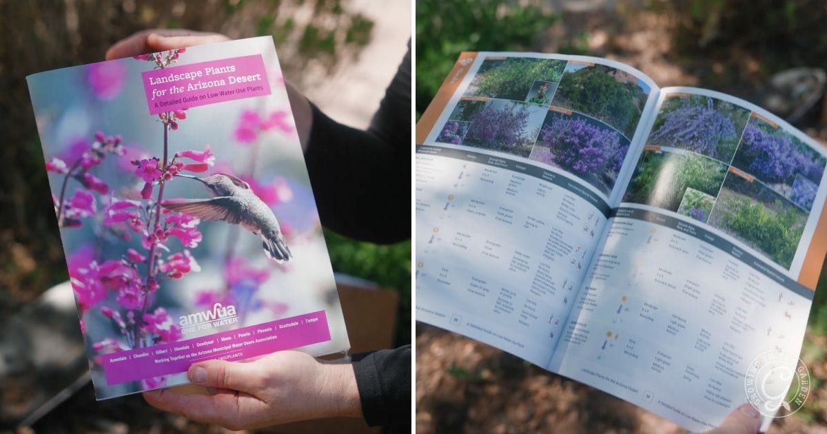The updated Landscape Plants for the Arizona Desert