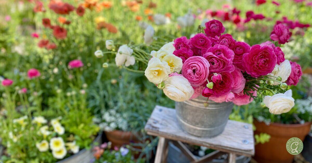 Flower Growing Basics