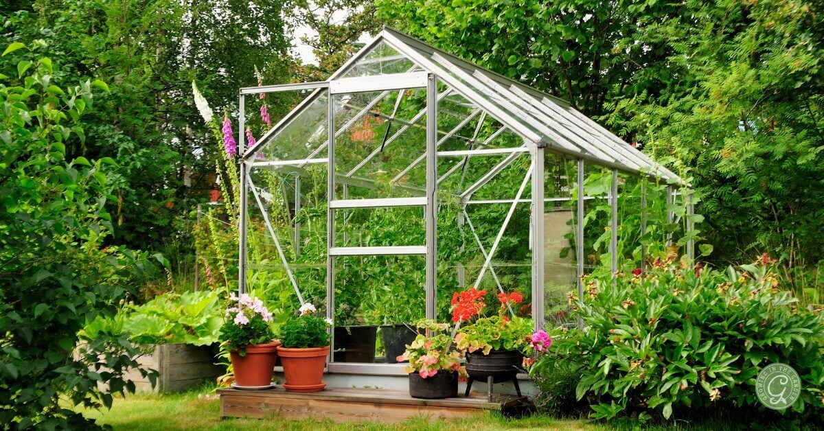 Greenhouses come in various shapes, sizes, and use of materials. Available types include traditional, hoop houses, lean-to&rsquo;s, cold frames, polytunnels, and attached solariums.