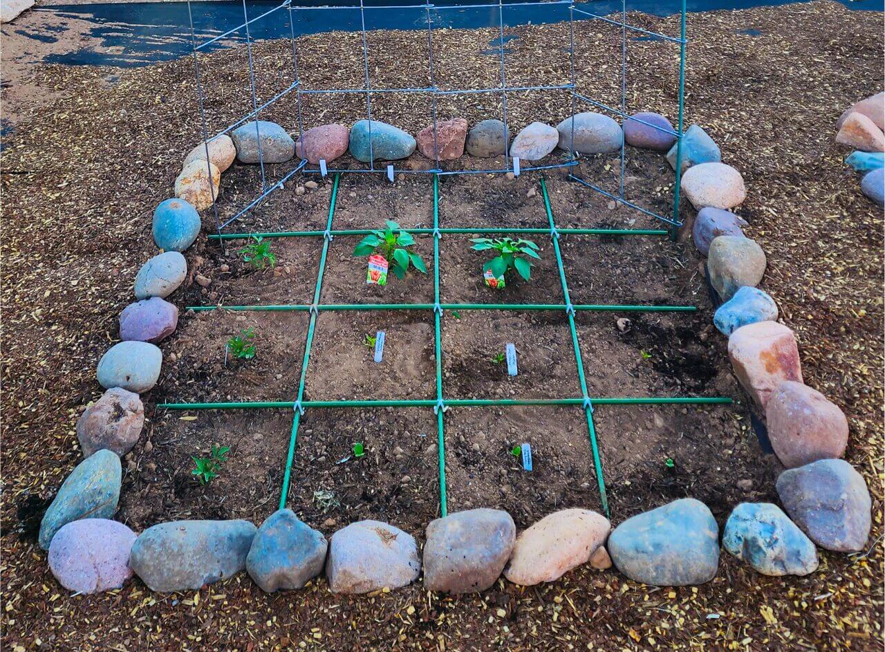 Sunken Garden Beds: Water-Wise Gardening in the Desert