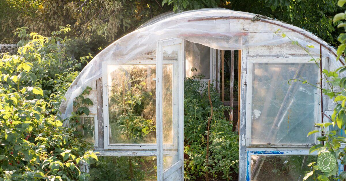 Greenhouses come in various shapes, sizes, and use of materials. Available types include traditional, hoop houses, lean-to&rsquo;s, cold frames, polytunnels, and attached solariums.