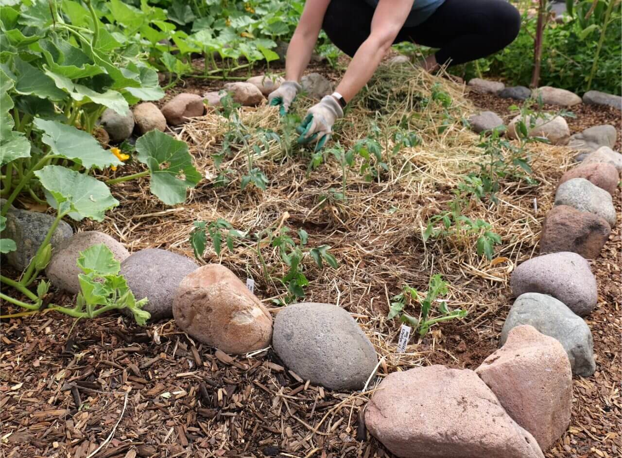 Sunken Garden Beds Step Eight: Add Mulch and Shade&nbsp;