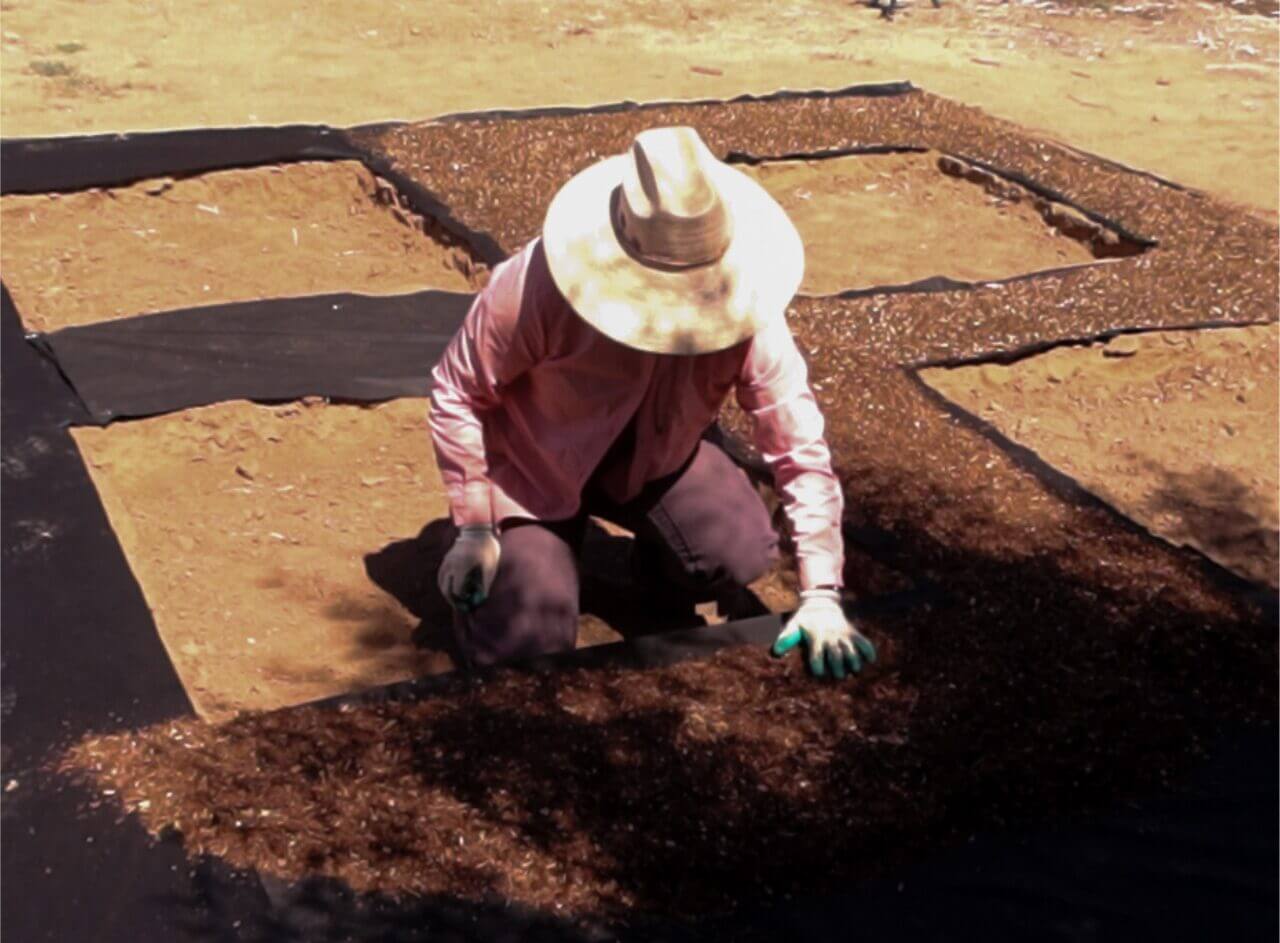 Generally, I don&rsquo;t like to use landscape fabric. I think it&rsquo;s best for soil health to cover the ground with a thick layer of untreated wood chips. This keeps weeds in check and adds organic matter to the soil as the wood breaks down. When planning this garden area, I made an exception.&nbsp;