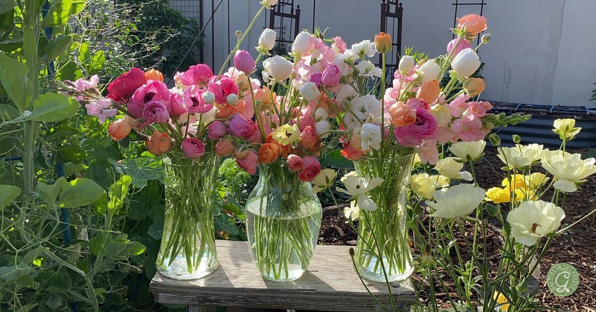 Flower Growing Basics