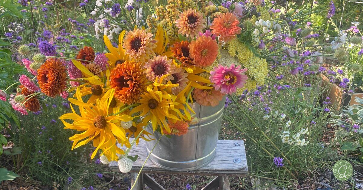 Flower Growing Basics