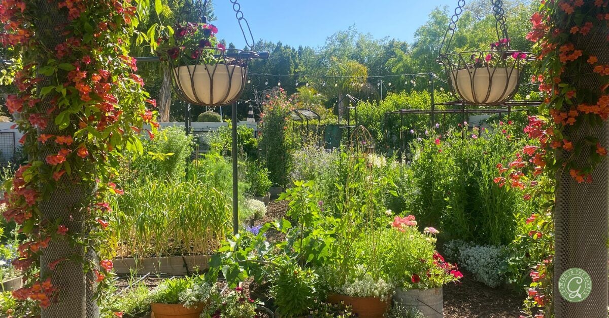 Flower Growing Basics