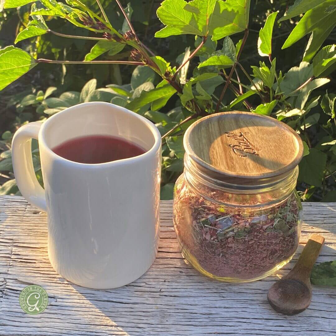 A white mug of herbal tea sits by a glass jar of dried herbs—perfect for learning how to use roselle hibiscus—resting on a weathered wooden surface outdoors, surrounded by lush green plants in the background.
