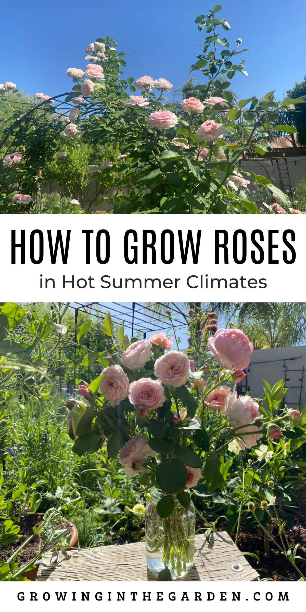 Greenhouse Tips for Hot Summer Climates