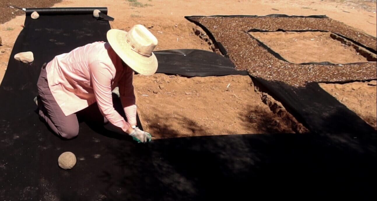 A person in a hat kneels on soil, laying black landscape fabric with rocks to hold it in place.