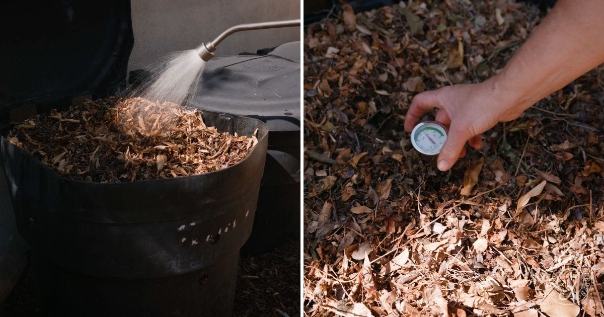 Vegetable Gardening Tasks for November