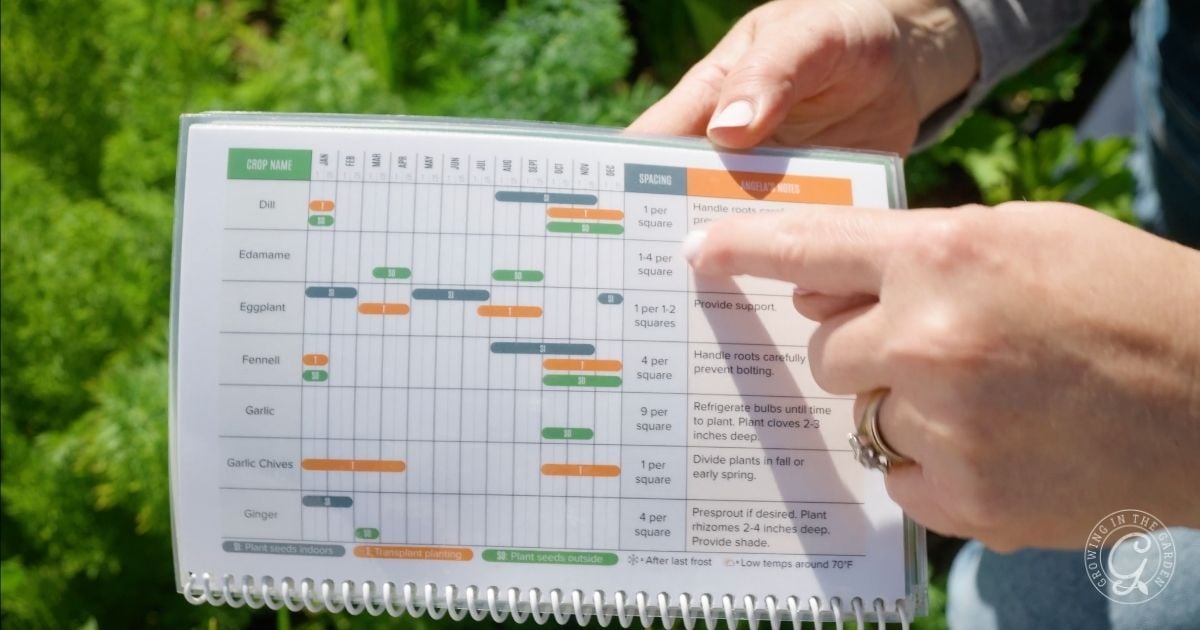 A person points to a plant spacing and growing guide with charts for various vegetables.
