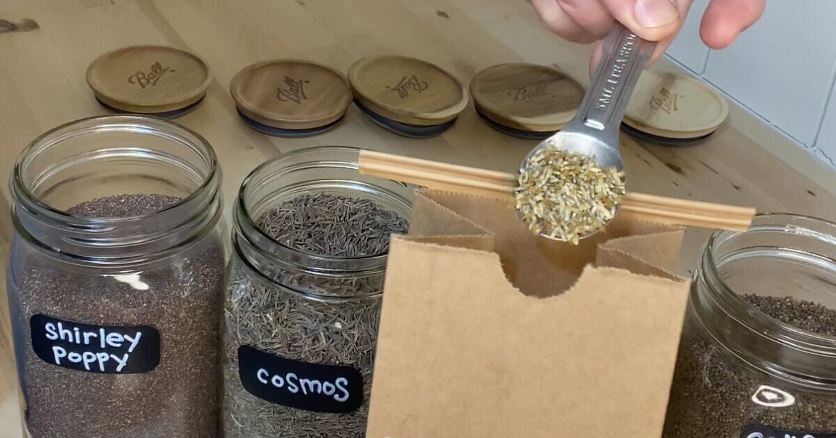 Holiday Neighbor Gift: Wildflower Seed Packs