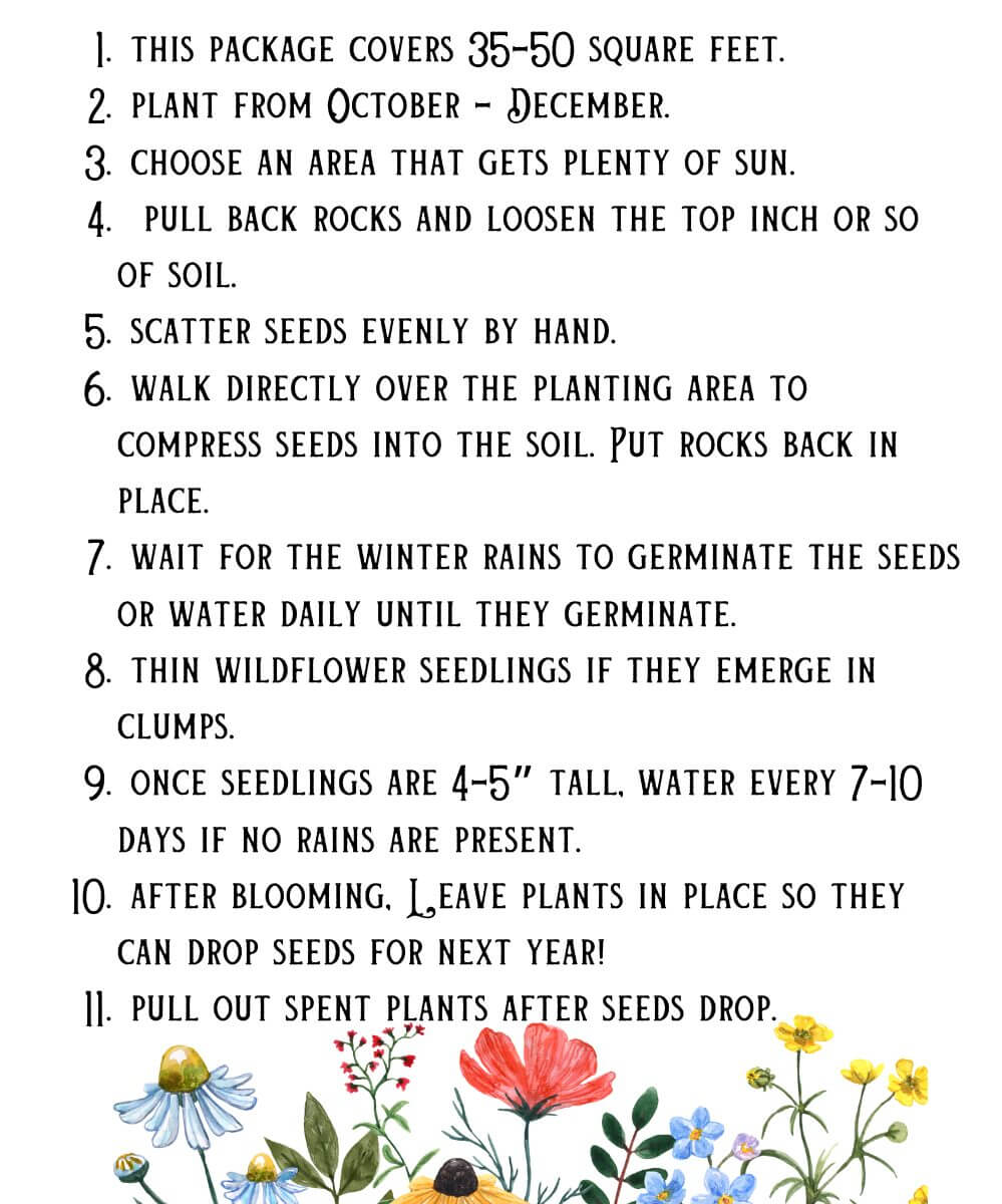 Holiday Neighbor Gifts: Wildflower Seed Packs