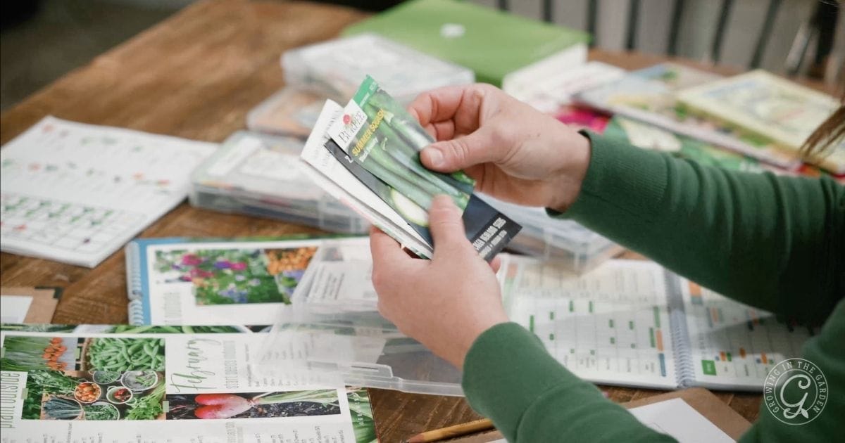 A person in a green sweater holds seed packets and organizes gardening materials for an Arizona garden in January on a wooden table covered with charts, notebooks, and more seed packets.