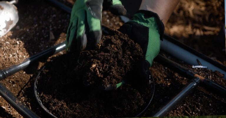 Vermicomposting Made Easy: In-Bed Worm Composting