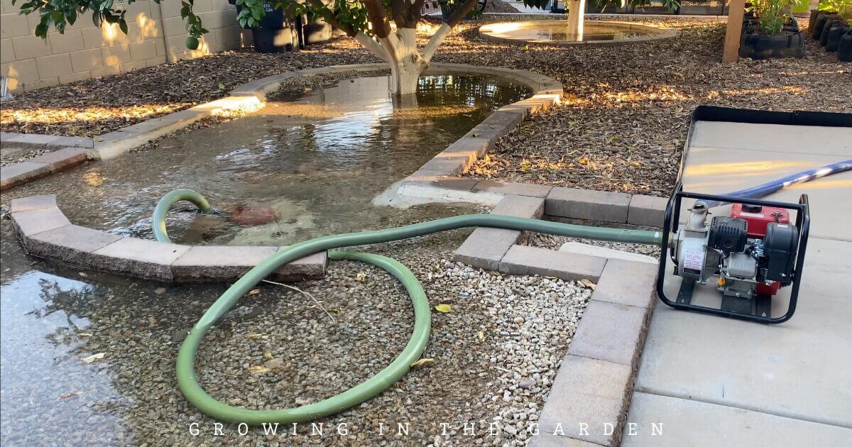How to Water Your Garden With Flood Irrigation