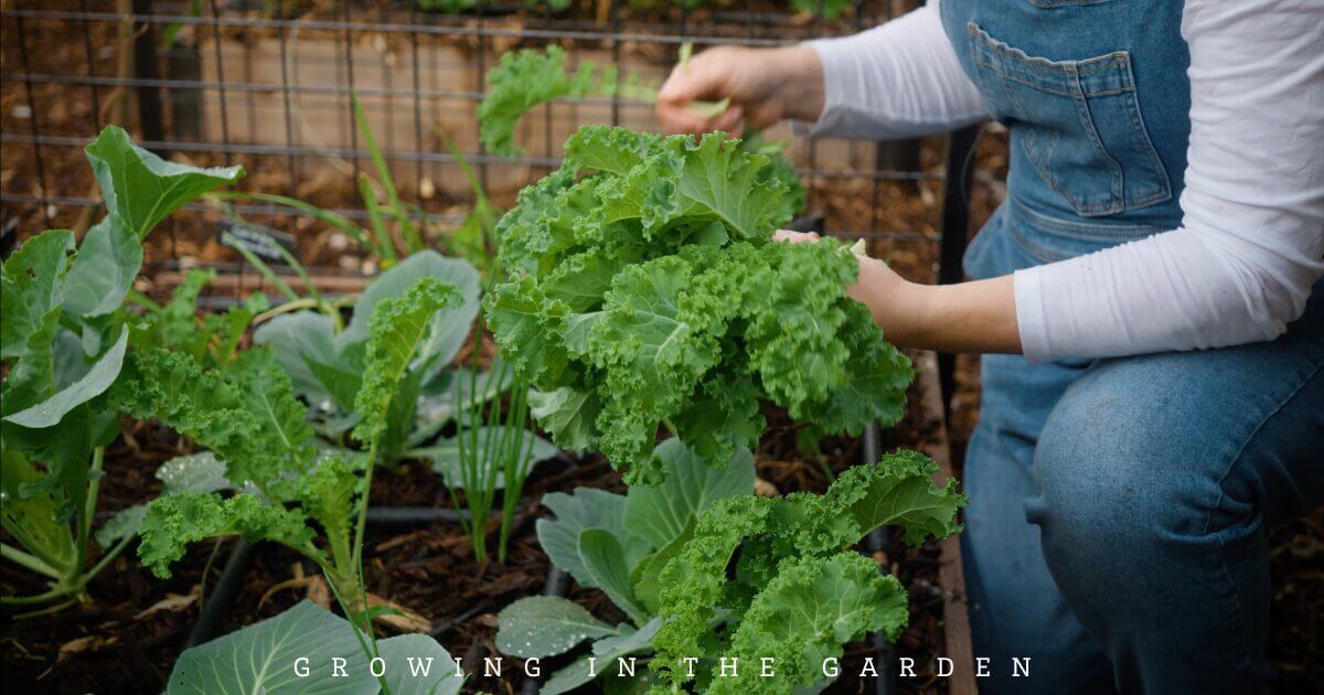 10 New Gardener Mistakes: What To Do Instead