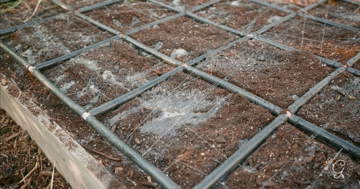 Check watering system