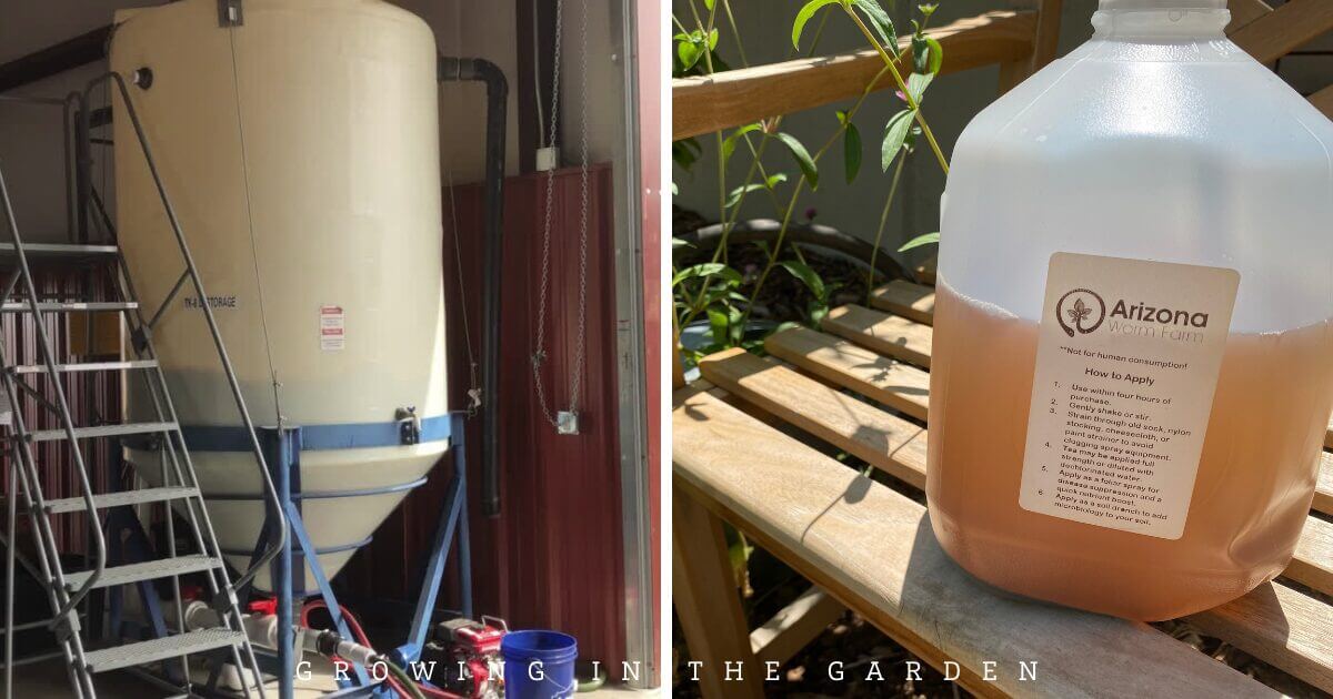 How to Make Worm Castings Tea: Zach's Recipe for a Pest-Free Garden